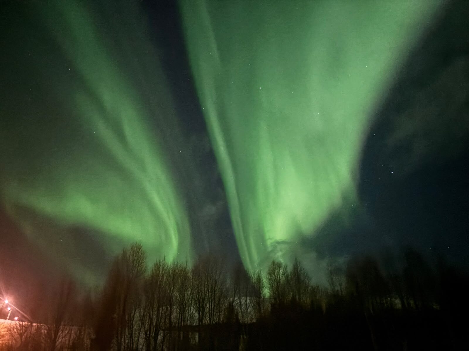 Green aurora curtains rising above the treetops